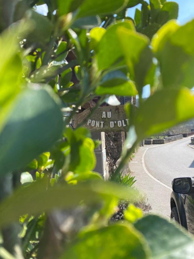Au Pont D'Olt Hotel Saint-Côme-dʼOlt Eksteriør billede