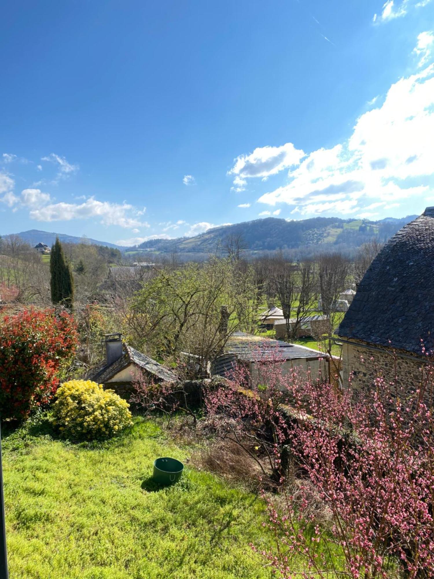 Au Pont D'Olt Hotel Saint-Côme-dʼOlt Værelse billede